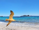 porto-vecchio-1