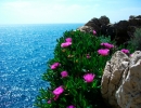 antibes-3